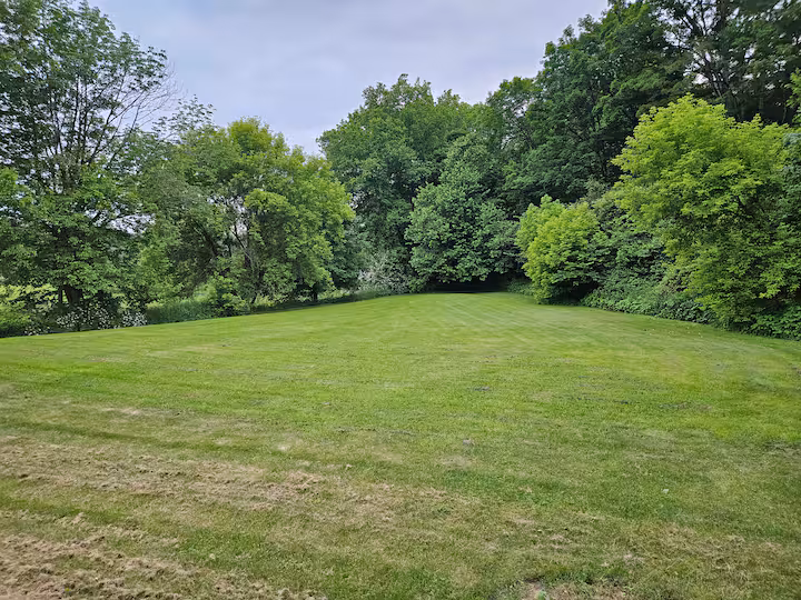 Spacious Back Yard to Play in