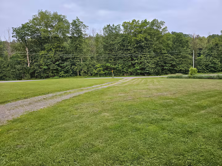 Front Yard even more space